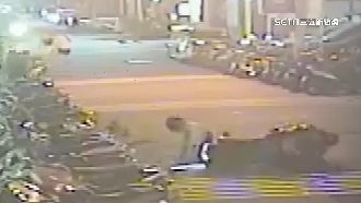 8米長狗繩害摔車！騎士求償2萬飼主神隱