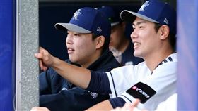 ▲澳洲職棒吉朗韓國隊。（圖／取自ABL官網）