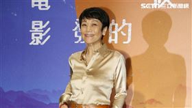 張艾嘉。（圖／記者楊澍攝影）