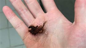 網友搭捷運時，頭髮被旁人的手持電扇捲入。（圖／翻攝自爆廢公社公開版 臉書）