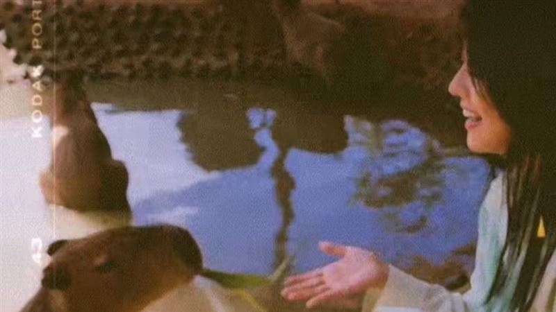 台8女神韓瑜餵食太甜　畫面流出網暴動