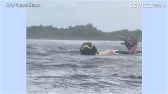 經歷魔鬼訓練的狗狗　如今已是「救生員」