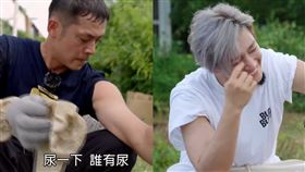 （圖／翻攝自台視）