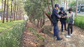 龍貓隧道,高雄輕軌,闖入軌道區,拍照打卡,開罰