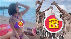 JKF女郎「張嘻嘻」（圖／翻攝自IG／qoomom520000）