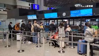 日本開放免簽自由行首日　桃機旅客超興奮