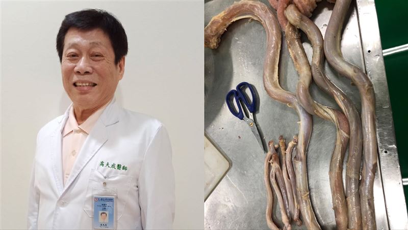 法醫高大成吃牛鞭、鱷魚掌　網驚：解剖課
