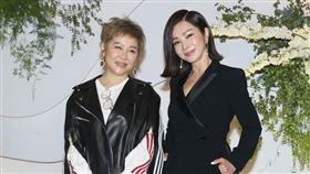 陳美鳳、藍心湄。（記者邱榮吉攝影