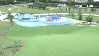 6歲女童「滑草被撞翻」！母怒告過失傷害