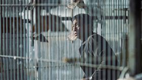 《一家子兒咕咕叫》推出口述影像版。（圖／金馬提供）