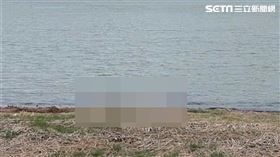 蘆洲分局,行政院小編,輕生,新北