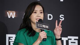 三立金鐘分享會，《我們回家吧2》曾寶儀。（圖／記者楊澍攝影）