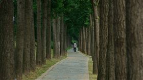 圖／翻攝自pixabay