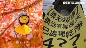 晴天娃娃。（合成圖／翻攝自pexels；資料照）