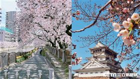 彥彥，日本沉潛中授權提供