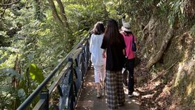 國稅局,發票,健走,闖關