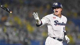 ▲養樂多村上宗隆。（圖／取自東京養樂多燕子FB）