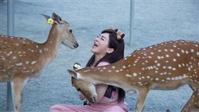 王彩樺（東森提供）