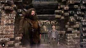 羅比·寇特蘭（Robbie Coltrane）驚傳過世。（圖／翻攝自IG）