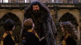 飾演《哈利波特》「海格」一角的演員，羅比·寇特蘭（Robbie Coltrane）離世，享壽72歲。（圖／翻攝自robbiecoltraneactor IG）