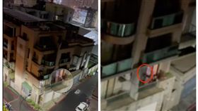 高雄,虐狗,陽台,摔狗,動保