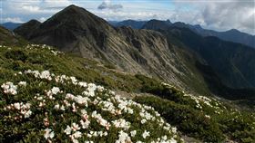 雪山。（圖／營建署提供）