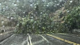 有網友16日下午在臉書「【我是東湖人】(社團版) 」貼照發文表示，「康湖隧道山崩了，路堵死了」，提醒民眾當心。（圖／翻攝自【我是東湖人】(社團版) ）