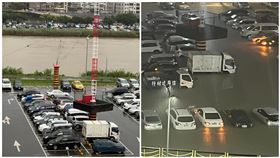 破50台車全部泡湯！百齡橋下淹成「大型游泳池」網驚：車主要哭了