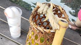 清水地熱公園,煮玉米,偷竊,小偷,地熱谷,https://www.facebook.com/photo?fbid=2172802379565740&set=pcb.6342331552452508