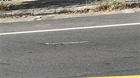 魔法阿媽,童年,卡通,馬路,小扁,https://www.facebook.com/photo/?fbid=8282704255105432&set=gm.493569619360303&idorvanity=218772006840067