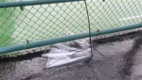 陽明山風雨大！文化大學正常上班課　學生罵爆：騎車險被吹走（圖／翻攝畫面）