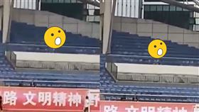 （圖／翻攝自網路）