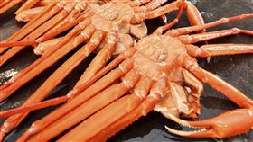 2020年，日本捕撈，松葉蟹(圖／美聯社／達志影像)