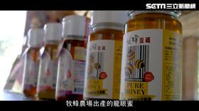 新北市政府，牧蜂農莊（業配勿用）