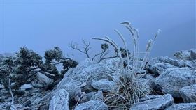 玉山主峰結霜殘冰，日夜溫差大，零下3度，(圖／山友李哲逸 提供)