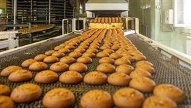 麵包 工廠 女員工 （圖／翻攝自pixabay）