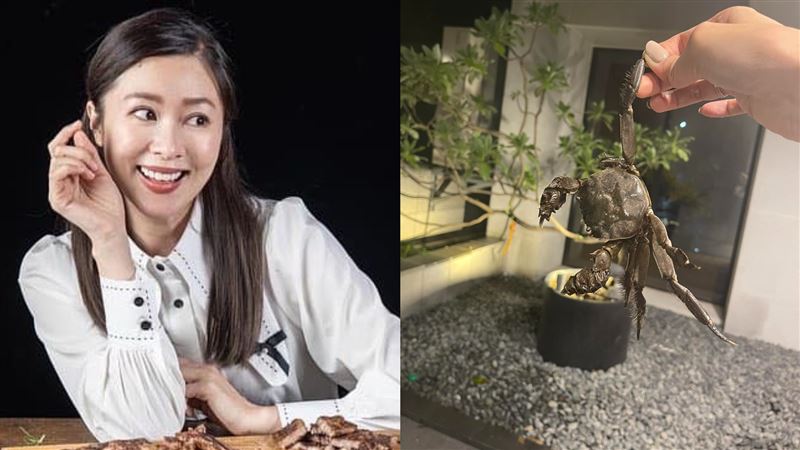 張棋惠「家門撿螃蟹」網笑：蟹老闆脫逃了