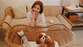 蘇花猴(好約翰工作室提供)
