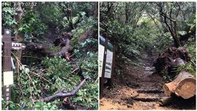 「陽明山國家公園」臉書粉專貼出幾張對比照片提醒，山下雖已放晴，山上仍有雨，請大家等天氣好一些再上山喔！（圖／翻攝自陽明山國家公園）