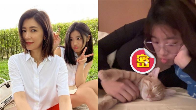 賈靜雯愛女轉大人　側躺玩貓照片辣翻