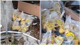 路邊驚見30杯「野生廖老大」！他傻眼：全都沒拆過…地點公布了（圖／翻攝自路上觀察學院）