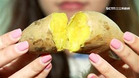▲地瓜是霜降進補的好食材之一。（圖／資料照)