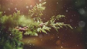 ▲霜降是第十八個節氣。(示意圖／Pixabay)