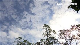 ▲今年冬天是否寒冷可以看霜降日天氣狀況。（示意圖／資料照）