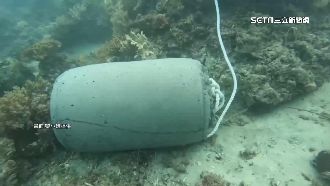 墾管處放的！「隔海域」水泥塊砸壞珊瑚礁