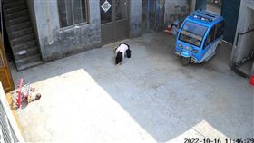 （圖／翻攝自瀟湘晨報）