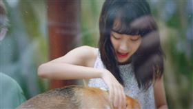 靜芳/宝島唱片行提供