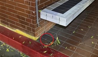 高雄百貨公司前爆槍擊！男朝4男狂轟被逮