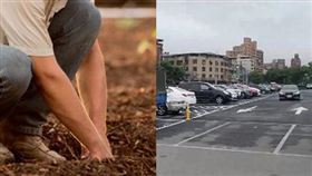 農地,停車場。（合成圖／pixaby、記者陳韋帆攝影）