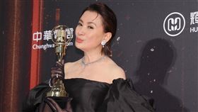 陳亞蘭拿下本屆視帝（圖／記者邱榮吉、楊澍攝影）
